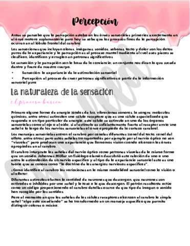 Percepcion.pdf