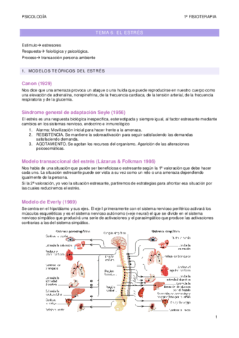 tema-6.pdf