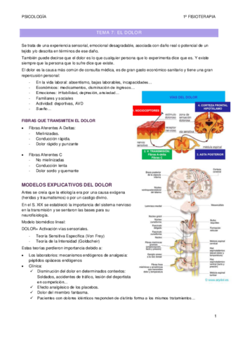 tema-7.pdf