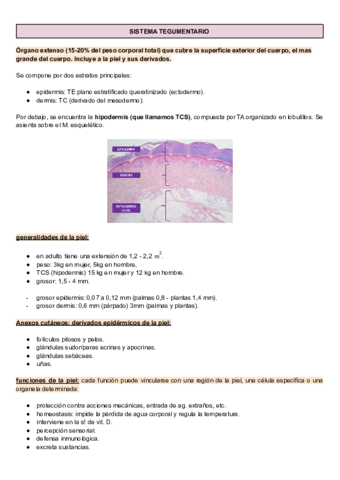 sist.pdf