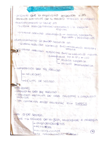 Tejido-Nervioso.pdf