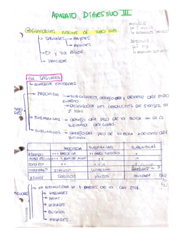 Dig-lll.pdf