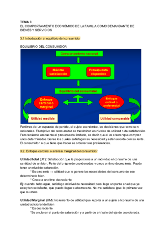 TEMA-3-4-y-5.pdf