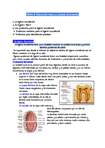 TEMA-3-Productos-para-la-higiene-bucodental.pdf