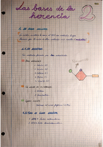 Bases-de-la-herencia-genetica.pdf
