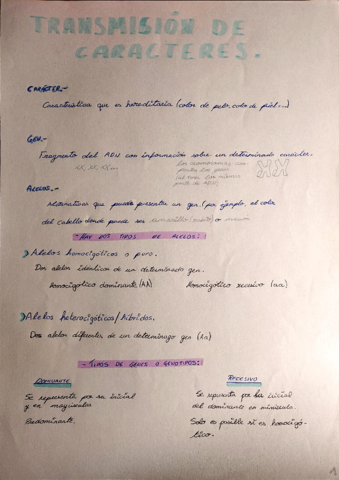 Transmision-de-caracteres-y-leyes-de-Mendel.pdf