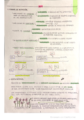 UD.pdf