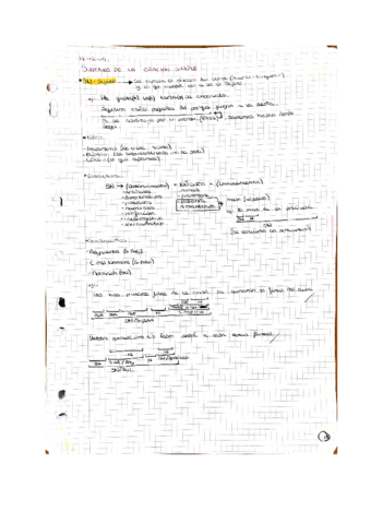 Documento-sin-titulo.pdf