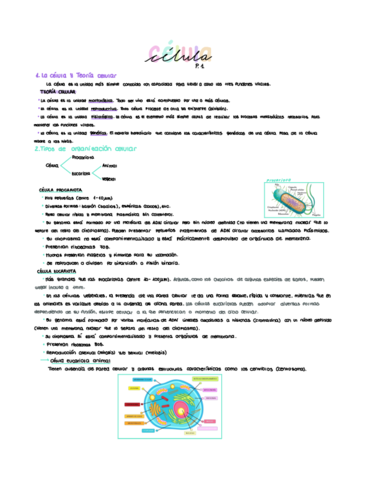 La-celula-.pdf