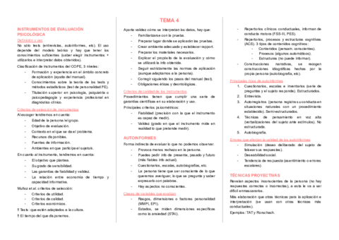 T4 INSTRUMENTOS DE EVALUACION