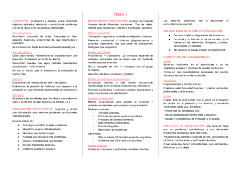 T1 VISION GENERAL EVALUACION