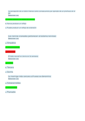 Examen-temas-5-6-y-7.pdf