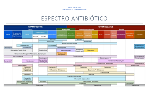 Espectro-antibiotico.pdf