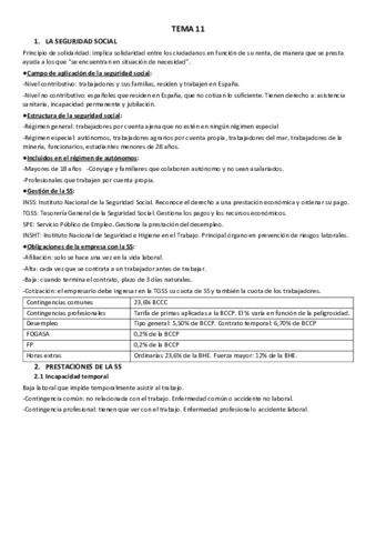 TEMA-11.pdf