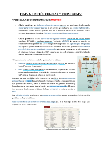Tema-2-Division-Celular-y-Cromosomas.pdf