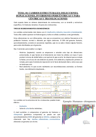 Tema-10-Cambios-estructurales.pdf