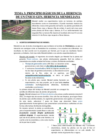 Tema-3-Principios-basicos-de-la-herencia.pdf