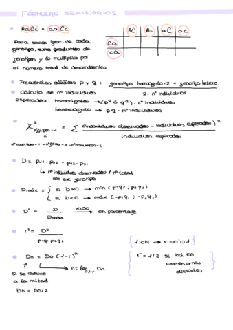 Formulas-seminarios.pdf