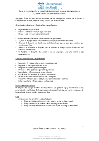 Anatomia-apuntes.pdf