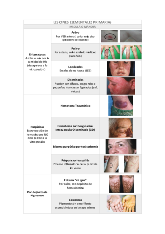 Lesiones-Elementales-Primarias-Derma.pdf