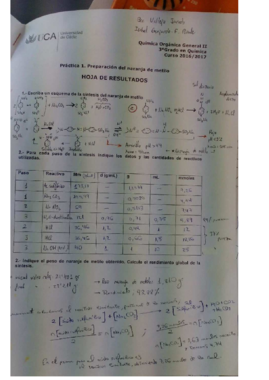 Práctica 1 resultados.pdf