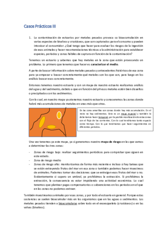 Caso-III.pdf