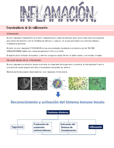 Caracteristicas-de-la-inflamacion.pdf