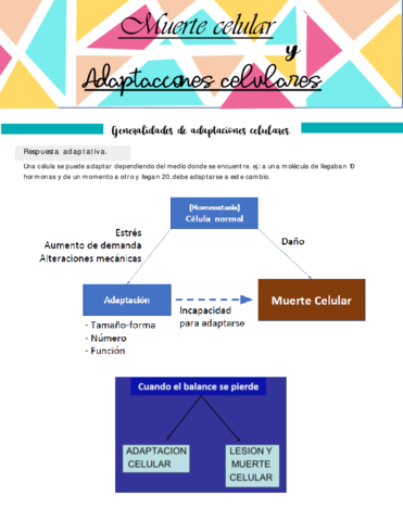 Generalidades-de-adaptaciones-celulares.pdf