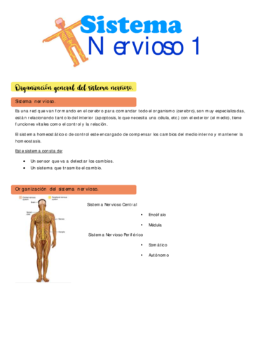 Organizacion-general-del-sistema-nervioso.pdf