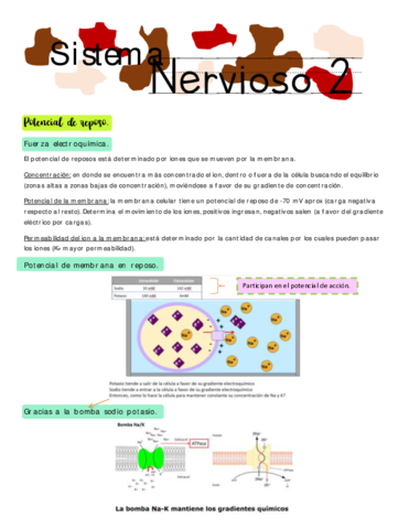 Guardado-con-Autorrecuperacion-de-Doc1.pdf