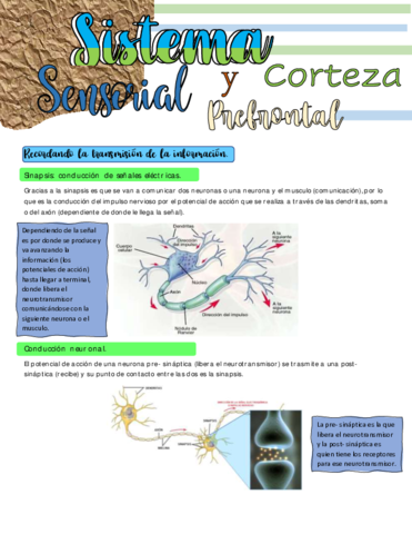 Recordando-la-transmision-de-la-informacion.pdf