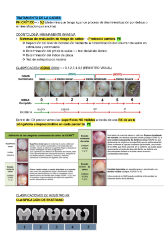 ptd-seminarios-bueno.pdf