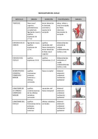 MUSCULATURA-DEL-CUELLO.pdf