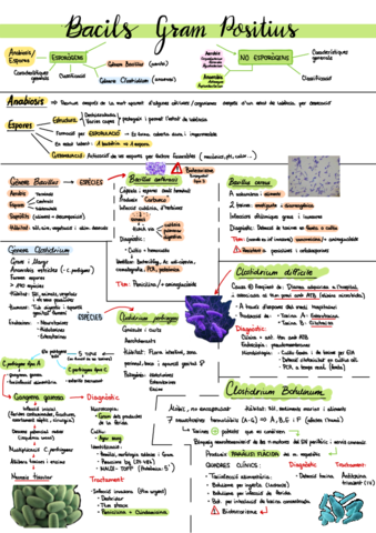 Microbiologia.pdf