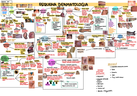 Esquema-dermatologia.pdf