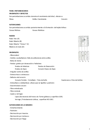 PERTURBACIONES.pdf