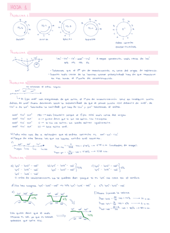 PROBLEMASEXPLICADOShojas-1-y-2.pdf