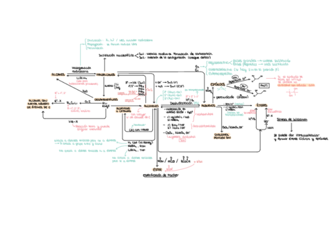 Repaso-Examen-1compressed.pdf