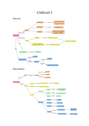 Unidad-3-tejidos.pdf