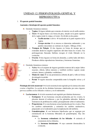 Unidad-12-f.pdf