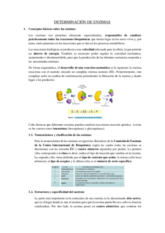 Enzimas.pdf