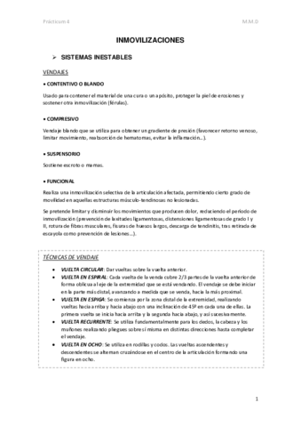 P4-Inmovilizaciones.pdf
