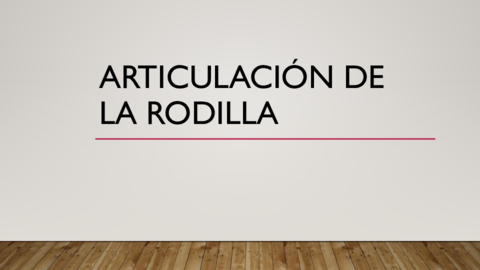 RODILLA.pdf