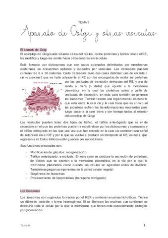 9. El aparato de Golgi