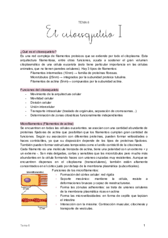 6. El citoesqueleto I