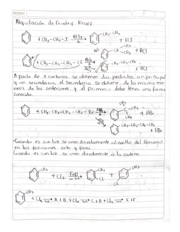 Alquilacion.pdf