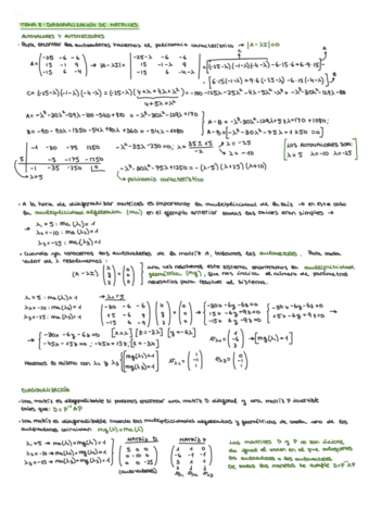 Tema-8-diagonalizacion-de-matrices.pdf