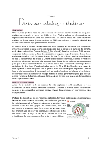 17. División celular mitótica