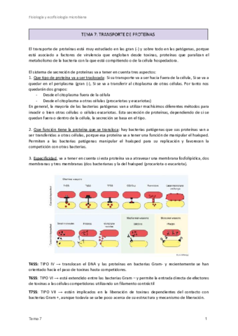 7.Transporte de proteínas