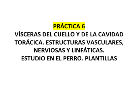 PRACTICA-6.pdf